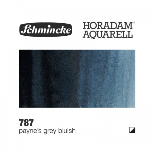 Grigio di Payne Bluastro - 787