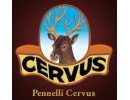 Cervus