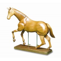 Cavallo 50 cm