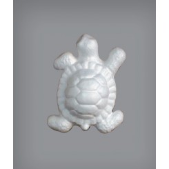 Tartaruga Piccola