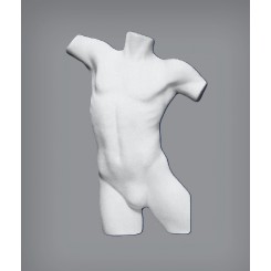 Busto in Polistirolo maschile