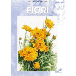 22 Fiori