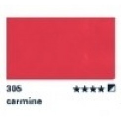305, Carminio